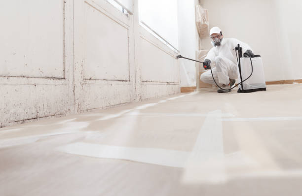 24/7 Emergency Crawl Space Mold Remediation experts in Cream Ridge, NJ