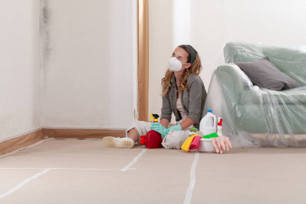 Reliable Crawl Space Mold Remediation contractor in Cream Ridge, NJ by Car Mold Remediation